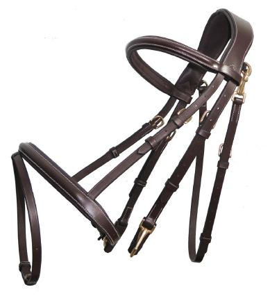 Anatomic Bridle 01